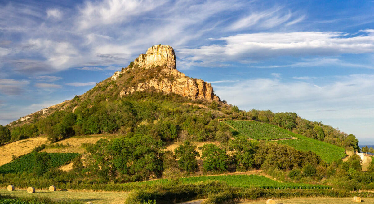Concours vins Mâcon